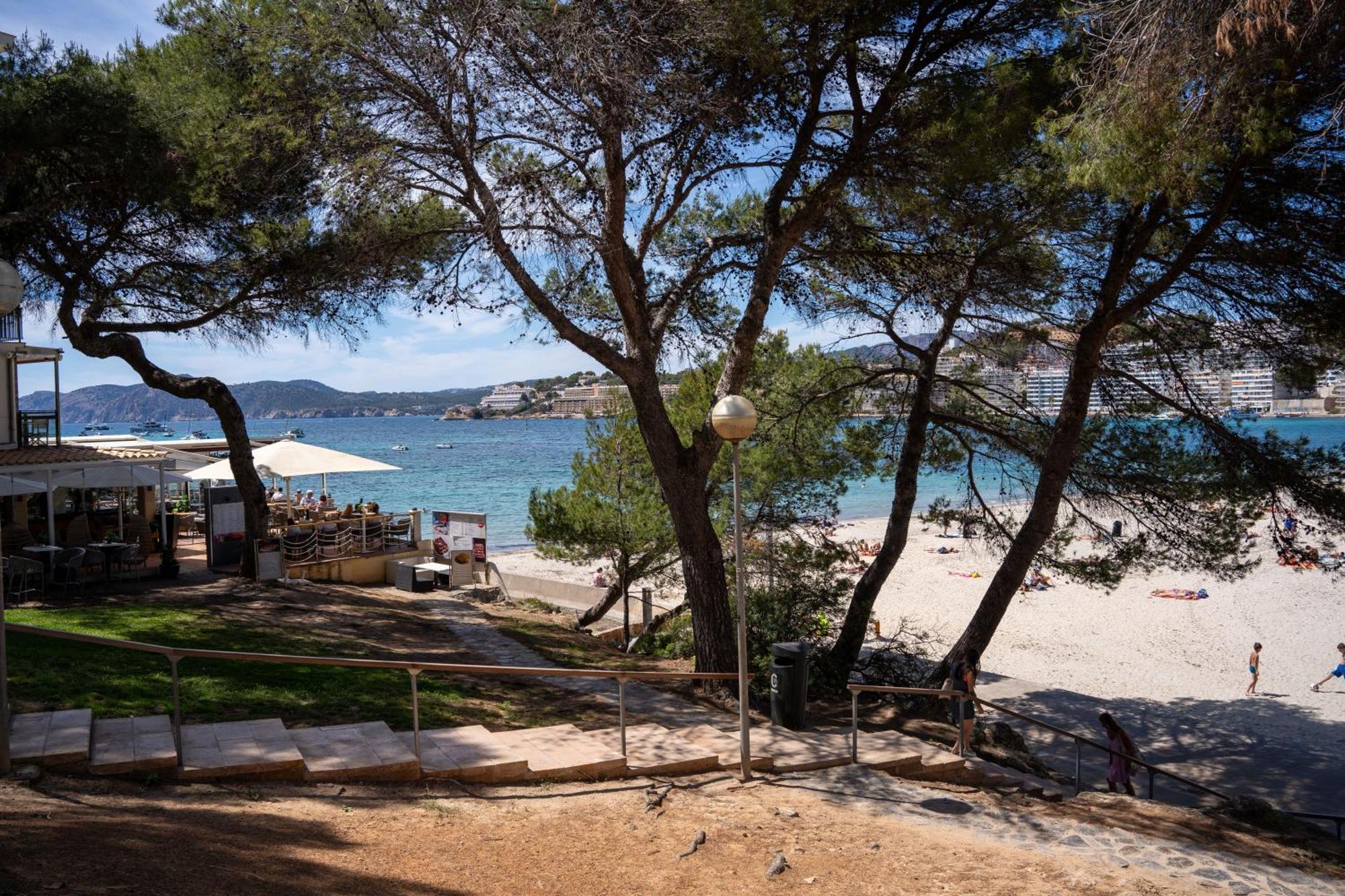 Pierre & Vacances Mallorca Deya Santa Ponsa Eksteriør billede